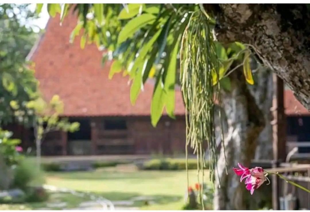 Damai Hotel Canggu  Exterior photo